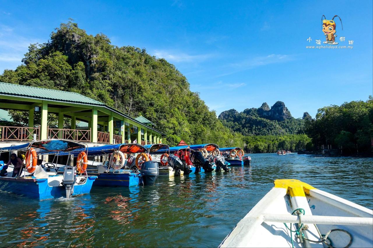 Mangrove Tour Langkawi: Jelajahi Hutan Ajaib Pesisir